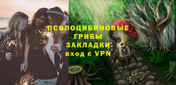 ГАЛЛЮЦИНОГЕННЫЕ ГРИБЫ Абинск