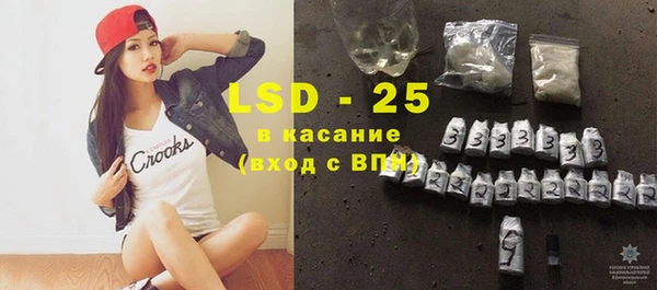 PSILOCYBIN Алзамай